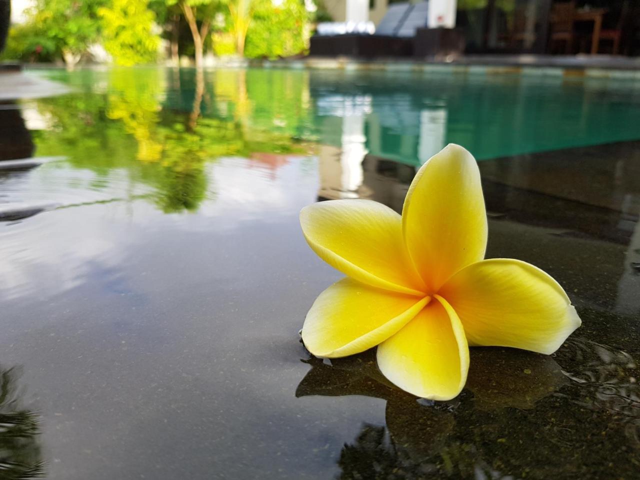 Villa Horizon Nusa Dua Nusa Dua  Eksteriør billede